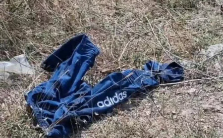 उदयपुर में लेपर्ड का खौफनाक हमला: छत पर सोते किसान बाबूलाल को 500 मीटर घसीटकर ले गया, शरीर के कई हिस्से खा गए; एक पैर अलग मिला, शव क्षत-विक्षत हालत में बरामद