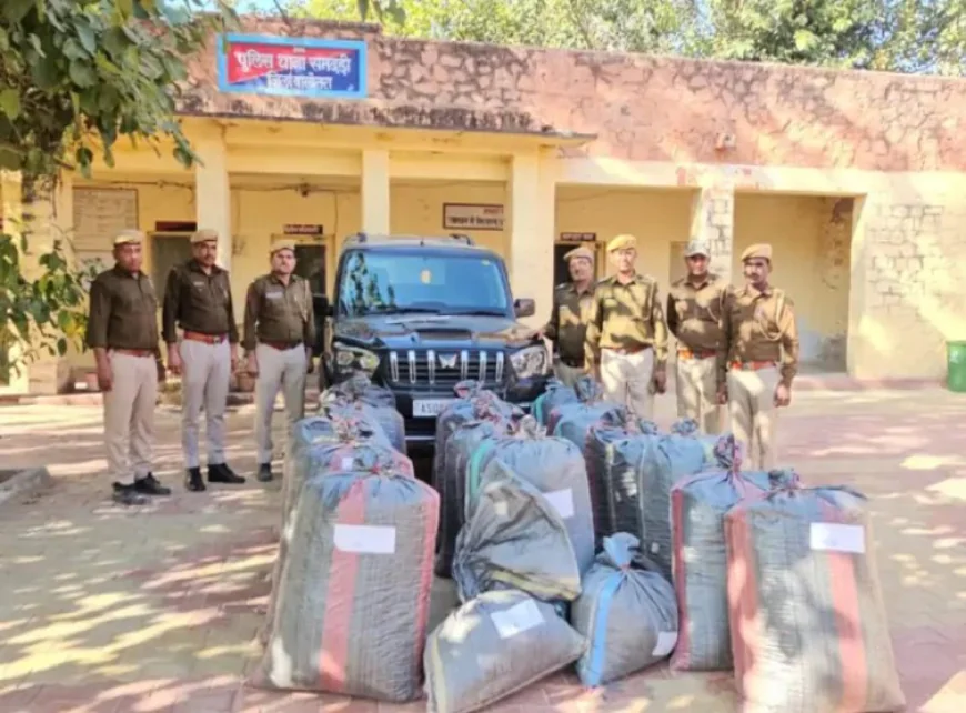 नाकाबंदी तोड़कर भागे तस्कर, 15 किमी पीछा कर पुलिस ने 438 किलो डोडा-पोस्त बरामद: SUV टायर फटने पर छोड़कर खेतों में फरार हो गए, मारवाड़ क्षेत्र में सप्लाई का था प्लान