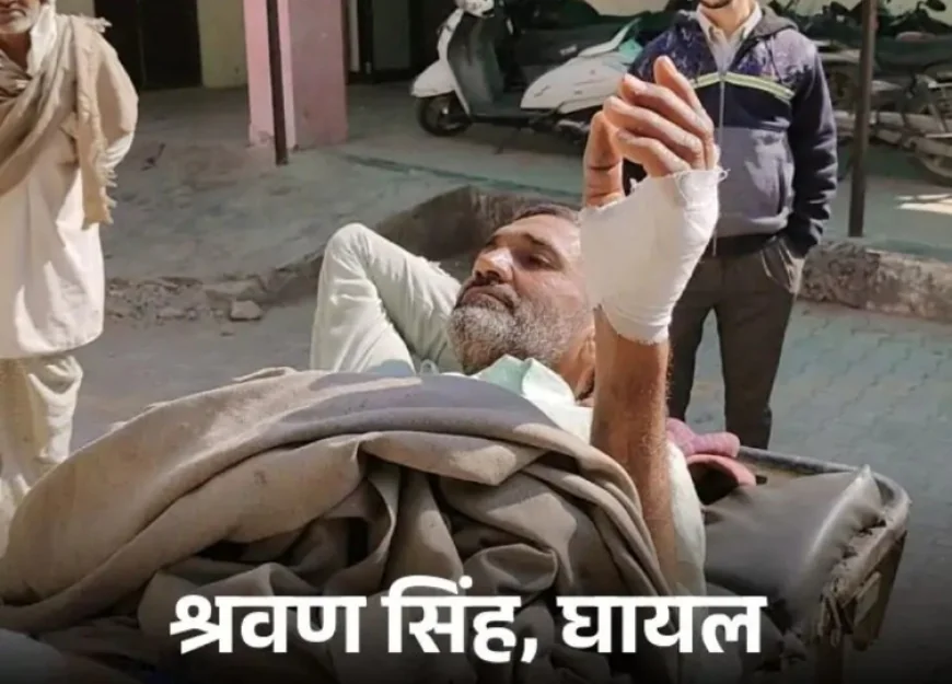 किसान ने लेपर्ड के हमले में जान बचाई: कुल्हाड़ी से सिर फाड़कर मारा, 15 मिनट तक चला जोरदार संघर्ष