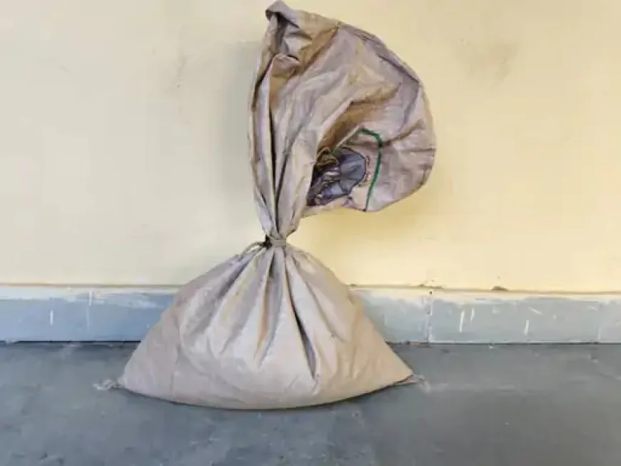 बालोतरा पुलिस की बड़ी स्ट्राइक, अफीम और डोडा-पोस्त के साथ दो तस्कर गिरफ्तार।