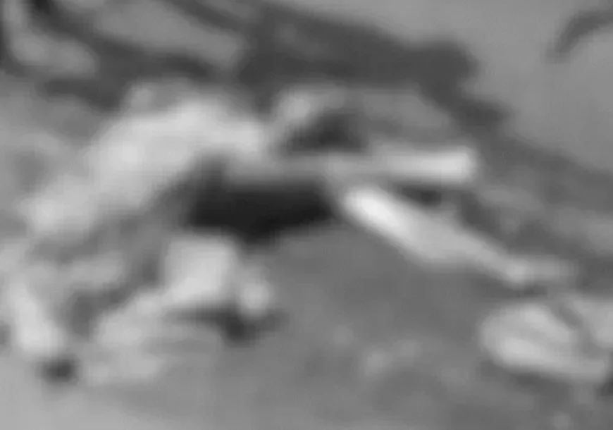 उदयपुर में दिल दहला देने वाला हादसा: मां के शव से लिपटकर रोती रही बेटी, तेज रफ्तार ट्रेलर ने महिला पर्यटक को कुचलकर 50 मीटर तक बिखेरे मांस के चीथड़े