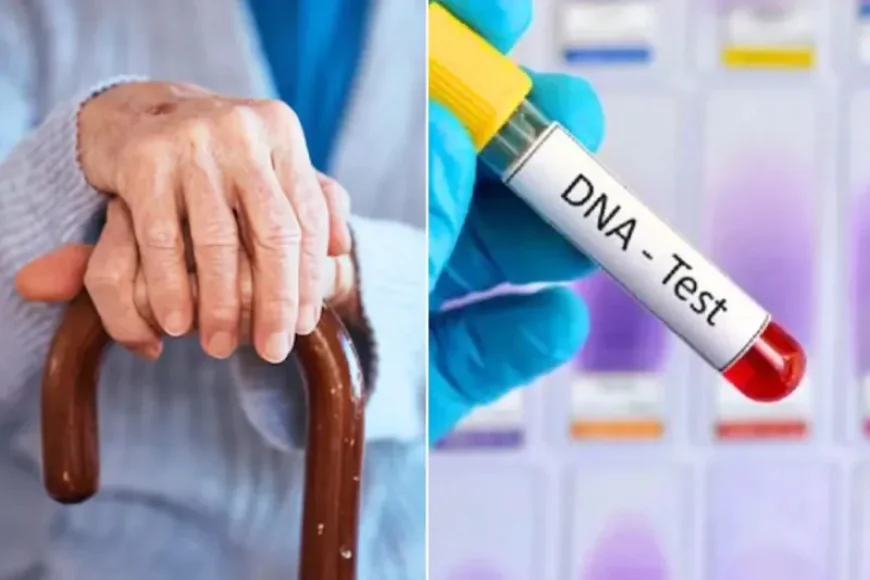 93 साल की मां ने बेटी को ठुकराया, राजस्थान हाईकोर्ट ने दिया DNA टेस्ट का आदेश