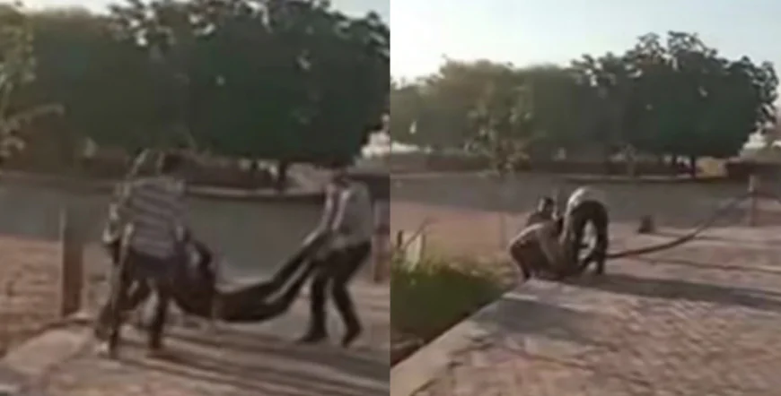 बोर्ड परीक्षा देने पहुंचे छात्र का दिनदहाड़े अपहरण, बदमाशों ने की मारपीट वीडियो वायरल होने से मचा हड़कंप...