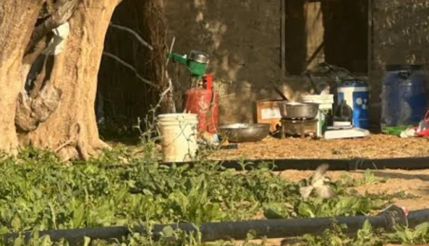 बाड़मेर में खेत के बीच पकड़ी गई एमडी ड्रग्स बनाने की फैक्ट्री, छाछ मशीन से तैयार किया जा रहा था नशा..