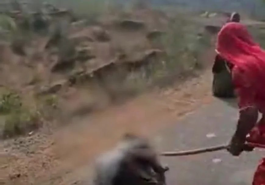 ग्रामीणों ने बच्चा चोर समझकर गोंद बेचने वाली मां-बेटी को लाठियों से पीटा: बुजुर्ग महिला गंभीर रूप से घायल, पुलिस ने दो आरोपियों को हिरासत में लिया