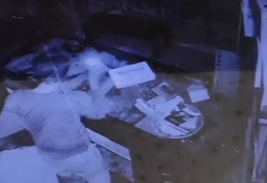 जयपुर के हरमाड़ा इलाके में कॉस्मेटिक दुकान में हुई हैरतअंगेज चोरी: चोर ने दुकान में ही बदले अंडर गारमेंट्स, माचिस की रोशनी में की पूरी वारदात – CCTV में कैद