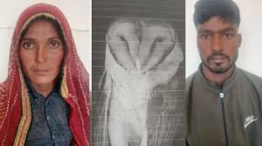 30 हजार की बाइक बेचने निकला किसान, ‘15 लाख के उल्लू’ के जाल में फंसा… 6 लाख लेकर फरार हुई गैंग!