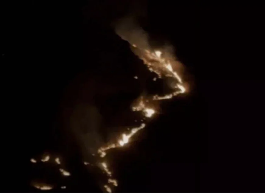 ऋषभदेव में बलुआ पहाड़ी पर लगी भीषण आग: डेढ़ घंटे तक धधकती रही, 4 हेक्टेयर क्षेत्र प्रभावित; प्रशासन, पुलिस, वन विभाग और ग्रामीणों ने मिलकर संभाला मोर्चा