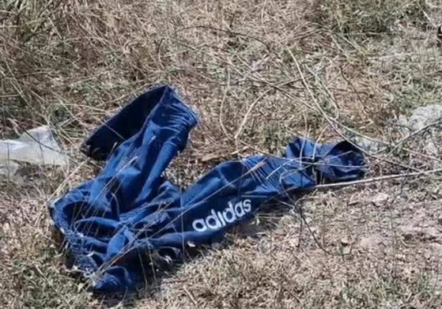 उदयपुर में लेपर्ड का खौफनाक हमला: छत पर सोते किसान बाबूलाल को 500 मीटर घसीटकर ले गया, शरीर के कई हिस्से खा गए; एक पैर अलग मिला, शव क्षत-विक्षत हालत में बरामद