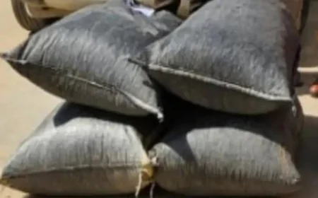 जमीन में दबाकर छिपाया गया 21.100 किलो अवैध डोडा-पोस्त बरामद: बालोतरा पुलिस की बड़ी कार्रवाई, एक तस्कर गिरफ्तार