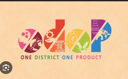 ODOP और MSME यूनिटों को बड़ी राहत, अब मंजूरी मिलेगी तेजी से