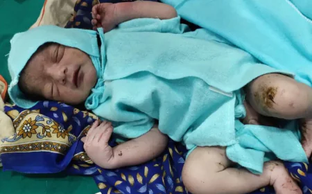 करौली के सरसों के खेत में कागज के डिब्बे में फेंका गया नवजात शिशु मिला, रोने की आवाज सुनकर किसान ने बचाया