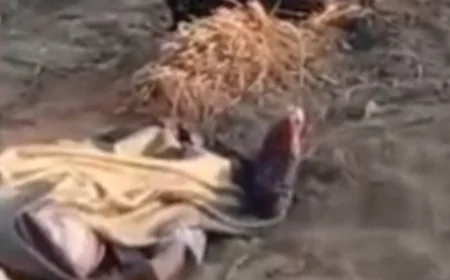 सीकर में पति ने पत्नी को मौत के घाट उतारा: गोरिया रेलवे अंडरपास के पास मिला शव, प्रेम विवाह के बाद हुई खौफनाक वारदात