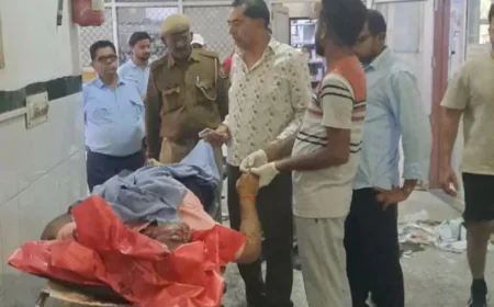 बहनों की शादी में शामिल होने आए बिजनेसमैन भाई की दर्दनाक मौत: पाली हाईवे पर कार पलटकर खाई में गिरी, मौके पर ही हो गई जान