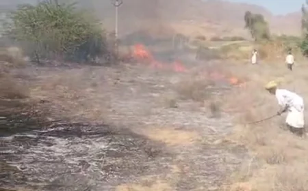 सिवाना के धीरा गांव में ट्रांसफार्मर शॉर्ट सर्किट से लगी आग, अनार की फसल जलकर नष्ट