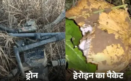 श्रीगंगानगर में 5 साल में 6 अरब रुपये की हेरोइन तस्करी: पाकिस्तान से ड्रोन के जरिए आ रही खेपें, पंजाब होकर वापस टुकड़ों में लौट रही; पुलिस ने बनाई स्पेशल QI DT और SIT टीमें