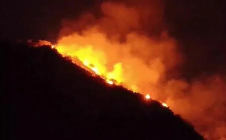 उदयपुर के बाहुबली हिल पर भीषण जंगल की आग: अकेले घूमने गए पर्यटक की दम घुटने से मौत, 3 हेक्टेयर क्षेत्र जलकर राख