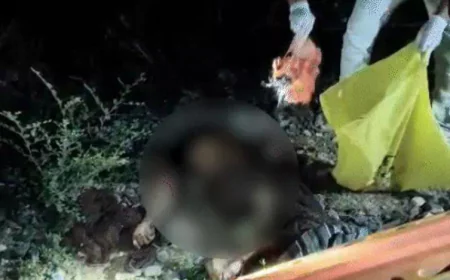 चित्तौड़गढ़ में दिल दहला देने वाली घटना: मां ने दो मासूम बच्चों को कुएं में फेंका, फिर ट्रेन के आगे कूदकर दी जान – तीनों की मौत