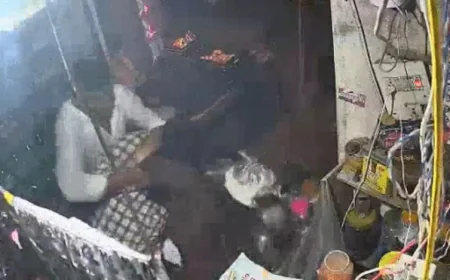 बाड़मेर के कारटिया गांव में जमीनी विवाद ने लिया हिंसक रूप: बड़े भाई ने छोटे भाई की किराना दुकान में घुसकर ताबड़तोड़ लाठी-घूंसे मारे, सीसीटीवी में कैद हुई पूरी वारदात