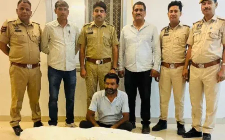 जयपुर में प्याज की फसल की आड़ में अवैध अफीम की खेती का बड़ा खुलासा: 363 पौधे जब्त, 65.5 किलो वजन; फलों पर चीरा लगाकर दूध निकाला जा रहा था, आरोपी रामलाल शर्मा गिरफ्तार