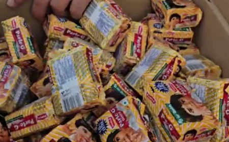 बाड़मेर में 'विकसित राजस्थान – रन फॉर राजस्थान' कार्यक्रम में बड़ा हादसा: एक्सपायरी बिस्कुट बांटे गए, नगर परिषद कर्मचारी की लापरवाही पर जिला प्रशासन की फटकार, गोपाल मार्केटिंग कंपनी पर छापा, 31 कार्टन जब्त