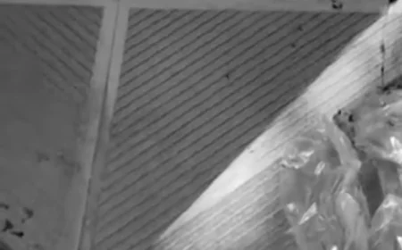 सीकर के पिपराली बालाजी मंदिर में फर्श पर मिला खून इंसान का: FSL जांच में पुष्टि, पुलिस ने 50 से ज्यादा सीसीटीवी खंगाले, अभी तक कोई सुराग नहीं