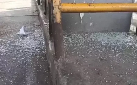 टोंक के पलाई टोल प्लाजा पर बदमाशों का हमला: 3-4 कारों में आए 10-12 गुंडों ने लाठियों से की जमकर तोड़फोड़, कर्मचारी भागकर बचाई जान; CCTV में कैद हुई पूरी वारदात, 5 लाख का नुकसान