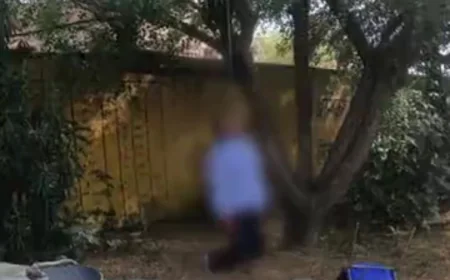 जोधपुर के सरकारी स्कूल में शिक्षक ने की आत्महत्या, पेड़ पर फंदे से लटका मिला शव; सुसाइड नोट बरामद