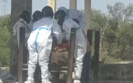 चित्तौड़गढ़ में मधुमक्खियों का कहर: अंतिम संस्कार के दौरान फिर हमला, 2 की मौत, 50 से ज्यादा घायल