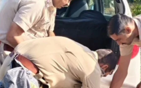 भीलवाड़ा में अल्टो कार से 40 किलो डोडा चूरा बरामद, तस्कर गिरफ्तार; नाकाबंदी में पुलिस की बड़ी कार्रवाई