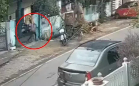 अलवर में गैस संकट के बीच दिनदहाड़े सिलेंडर चोरी: CCTV में कैद हुई दो चोरों की साहसी वारदात, मिनटों में बालकनी से उठाकर फरार