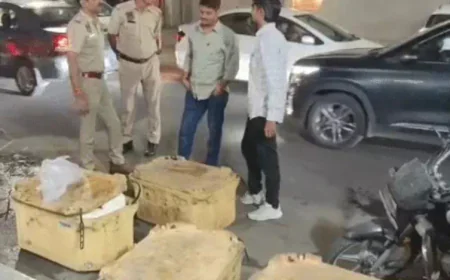 जयपुर में मिलावटी डेयरी उत्पादों के खिलाफ बड़ी कार्रवाई: 1000 किलो नकली पनीर और 800 किलो नकली घी जब्त, मेवात से हो रही थी सप्लाई; साथ ही 4840 किलो मिलावटी मिर्च पाउडर भी बरामद