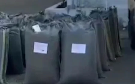 धरियावद में पुलिस पर 15 राउंड फायरिंग, 1.14 करोड़ का डोडाचूरा बरामद; बदमाश जंगल में पिकअप छोड़कर फरार