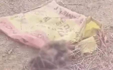 जालोर में नवजात को झाड़ियों में फेंका: रोने की आवाज सुन ग्रामीणों ने बचाई जान, हालत गंभीर