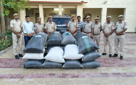 बाड़मेर में पुलिस से बचने के लिए दौड़ाई स्कॉर्पियो, गड्ढे में फंसते ही पकड़े गए तस्कर; 417 किलो डोडा, पिस्टल और फर्जी नंबर प्लेट बरामद