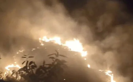 गोगुंदा में आबादी के पास पहाड़ी पर लगी भीषण जंगल की आग: 30 बीघा क्षेत्र जलकर राख, दमकल की गाड़ी ऊपर तक नहीं पहुंच सकी