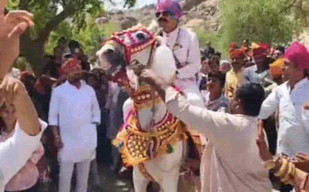 IPS दूल्हा बारात लेकर निकला, घोड़ी भी थिरकी: जोधपुर में आज होगी SP अंशिका वर्मा संग ‘कृष्णांशिका’ थीम वाली शाही शादी