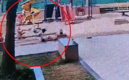 जयपुर में झूला टूटने से 12 साल की बच्ची गंभीर घायल, जबड़ा-नाक की हड्डी टूटी; सोसायटी मैनेजमेंट पर लापरवाही के आरोप