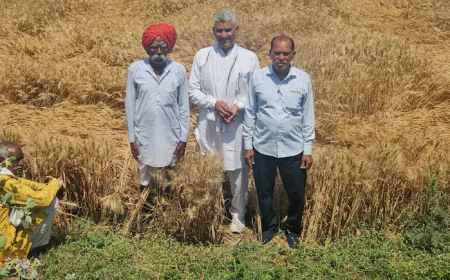 Kota News: बेमौसम बारिश और आग से फसलें बर्बाद, ऊर्जा मंत्री हीरालाल नागर ने किसानों के लिए दिए अहम निर्देश