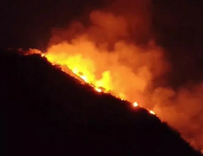 उदयपुर के बाहुबली हिल पर भीषण जंगल की आग: अकेले घूमने गए पर्यटक की दम घुटने से मौत, 3 हेक्टेयर क्षेत्र जलकर राख