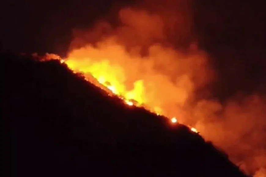उदयपुर के बाहुबली हिल पर भीषण जंगल की आग: अकेले घूमने गए पर्यटक की दम घुटने से मौत, 3 हेक्टेयर क्षेत्र जलकर राख