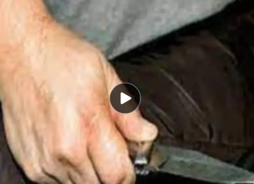 जयपुर में क्रूर लूट: बदमाशों ने वकील का कान काट लिया, 20 हजार रुपए छीने और कटा कान भी ले उड़े