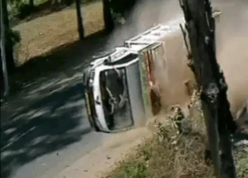 अलवर-बहरोड़ रोड पर तेज रफ्तार टैंपो पलटा: सवारियां उछलकर दूर गिरे, एक बच्चे को CPR देकर बचाई जान; 10 घायल, 2 को जयपुर रेफर