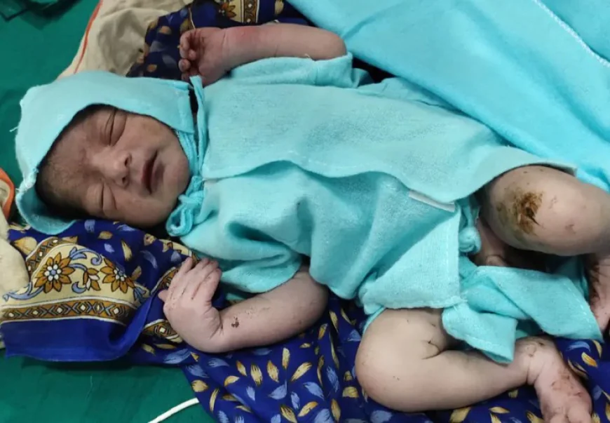 करौली के सरसों के खेत में कागज के डिब्बे में फेंका गया नवजात शिशु मिला, रोने की आवाज सुनकर किसान ने बचाया