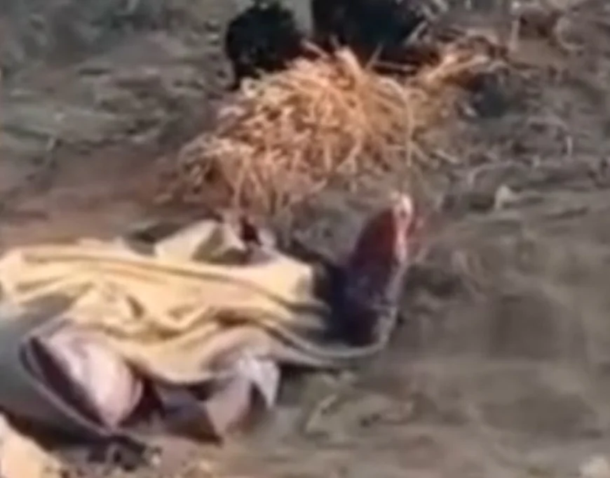 सीकर में पति ने पत्नी को मौत के घाट उतारा: गोरिया रेलवे अंडरपास के पास मिला शव, प्रेम विवाह के बाद हुई खौफनाक वारदात