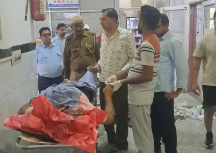 बहनों की शादी में शामिल होने आए बिजनेसमैन भाई की दर्दनाक मौत: पाली हाईवे पर कार पलटकर खाई में गिरी, मौके पर ही हो गई जान