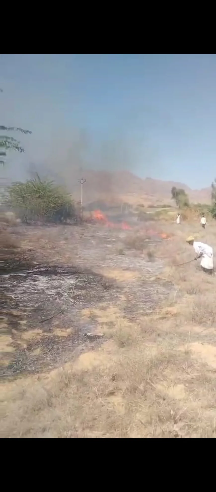 सिवाना के धीरा गांव में ट्रांसफार्मर शॉर्ट सर्किट से लगी आग, अनार की फसल जलकर नष्ट