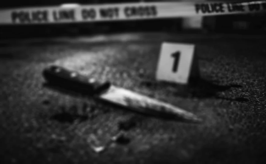 बालोतरा जिले के ऐकडली गांव में होली की रात पुरानी रंजिश में कुल्हाड़ी-लाठी से हमला: युवक सूरज की मौत, 9 आरोपी गिरफ्तार