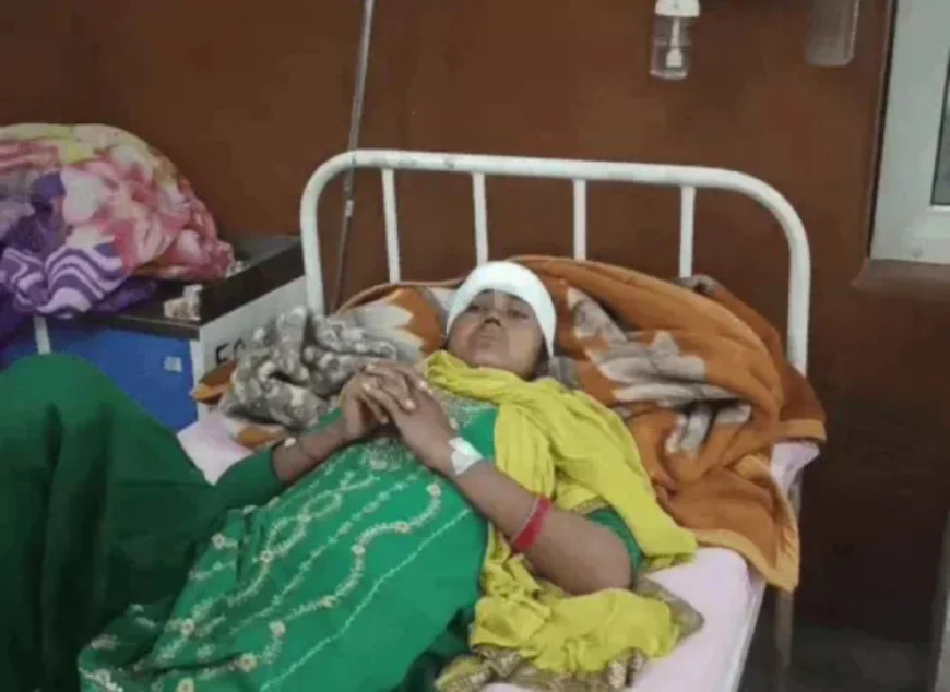 टी-20 वर्ल्ड कप फाइनल में जश्न मनाने पर लाठी-डंडों से हमला: युवती के सिर में गोली छूकर निकली, 9 टांके लगे; तीन घायल