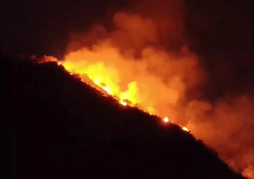 उदयपुर के बाहुबली हिल पर भीषण जंगल की आग: अकेले घूमने गए पर्यटक की दम घुटने से मौत, 3 हेक्टेयर क्षेत्र जलकर राख